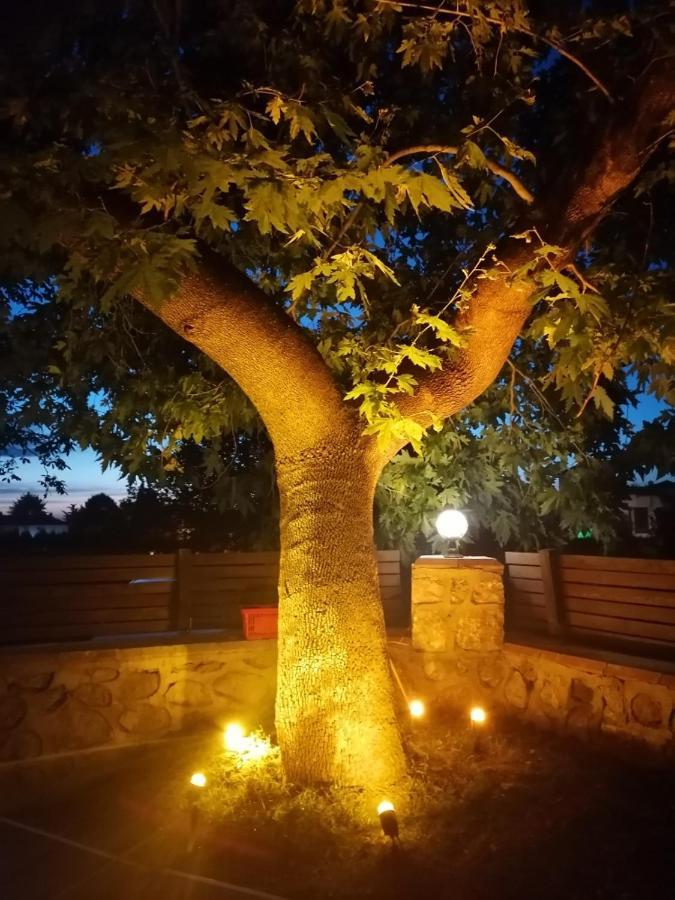Vital Home Sapanca Isitmali Havuzlu Villa&Bungalov المظهر الخارجي الصورة